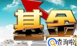 基金定投怎么选择比较好