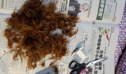 什么时候可以给狗狗剃胎毛呢