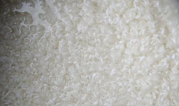 怎样做爆红网络的番茄饭