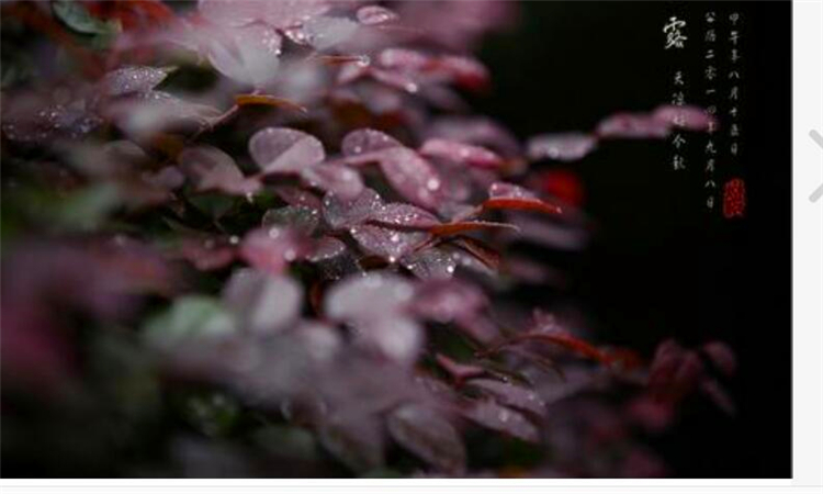 白露是什么季节