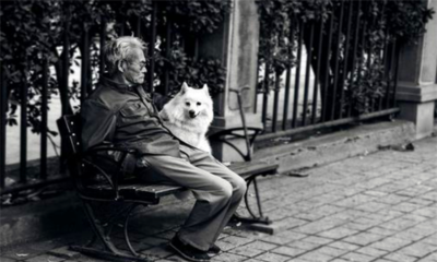 爸爸的叔叔叫什么称呼