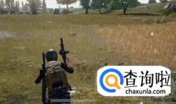 虎牙直播有什么内容