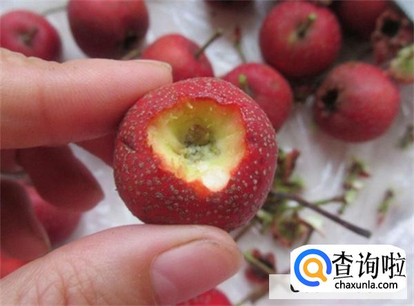 秋天老人应该怎么吃