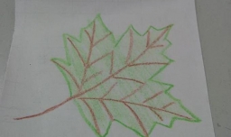 简单画好一片梧桐树叶