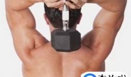 肱三头肌长头怎么练，肱三头肌长头锻炼注意事项