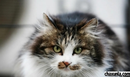 摄影基础知识入门与技术