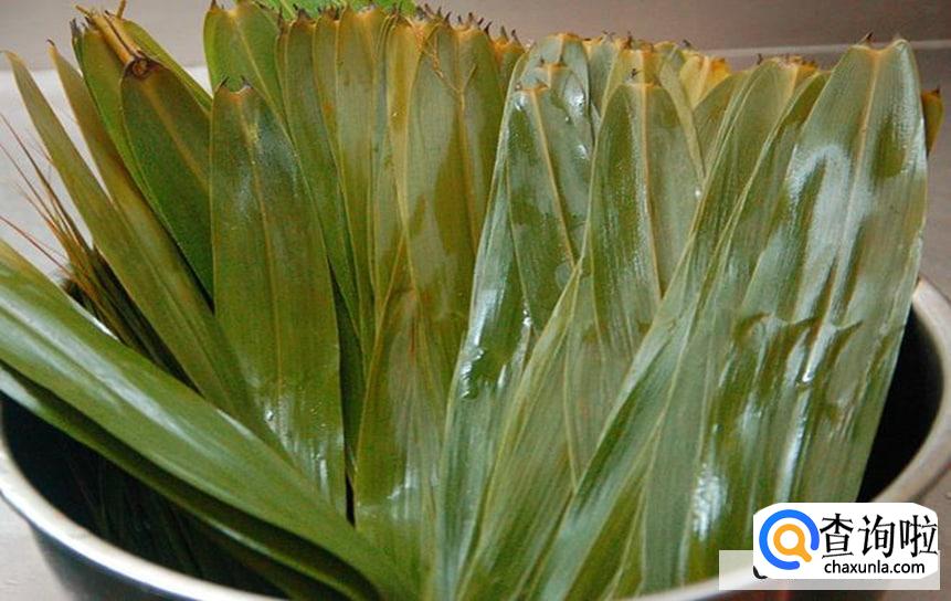 苇叶要怎么保存呢