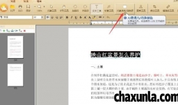 PDF文件中文字颜色怎么改变