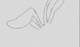 儿童学画小动物：小兔子