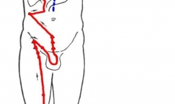 十二时辰和人体经络时表