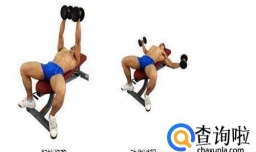 练胸肌最好的方法,七个动作练出完美胸肌