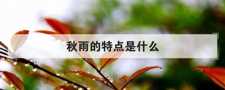 秋雨的特点是什么