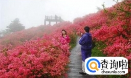 毕节杜鹃花旅游攻略