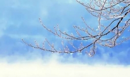 冬藏是立冬还是冬至？