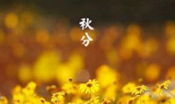 秋分和立秋的区别是什么？