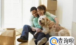 带宠物搬家要注意哪些问题？