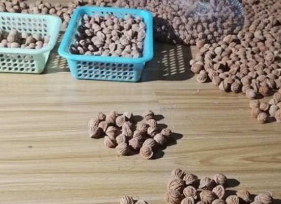 桃核什么时候采摘可以做成手串