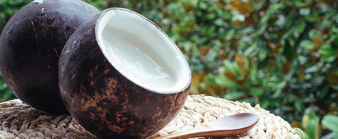 椰子算不算坚果