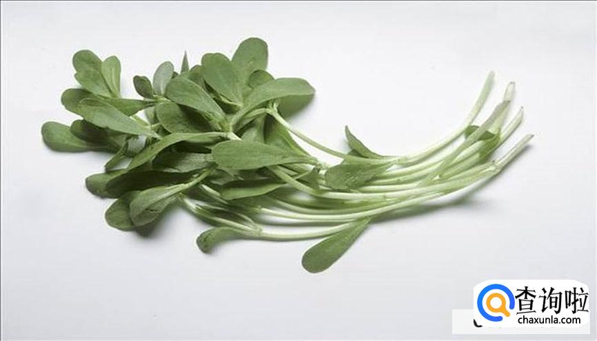 常吃豆瓣菜有什么好处