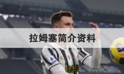 拉姆塞简介资料