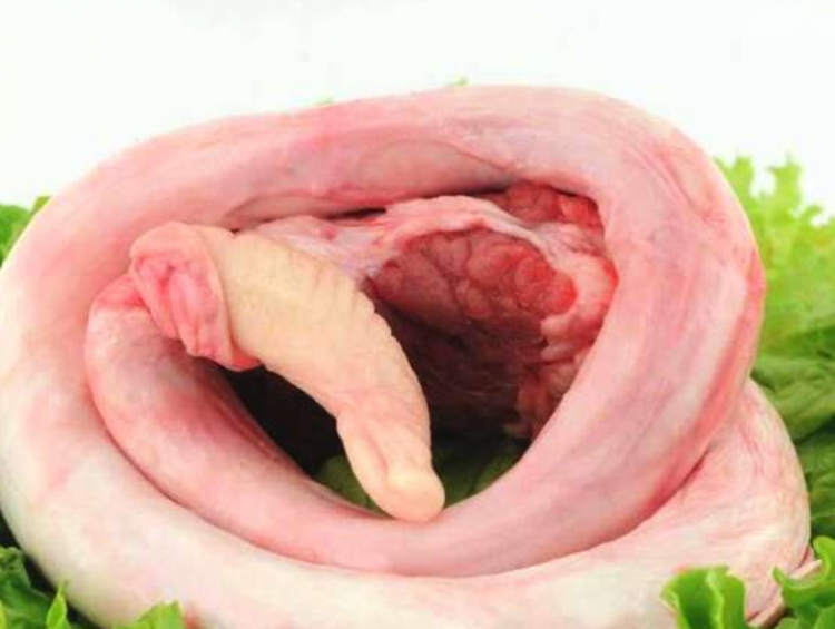 牛鞭功效与作用及禁忌