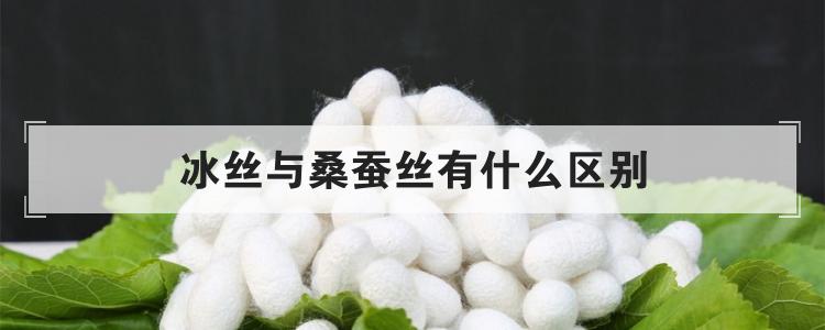 冰丝与桑蚕丝有什么区别