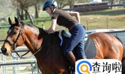 澳门2023最准资料澳门码（澳门2023最准马术资料免费下载）