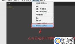 Sublime的内置服务器如何安装，如何应用
