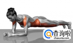 最有效的健身：平板支撑