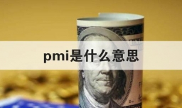 pmi是什么意思