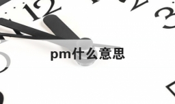 pm什么意思