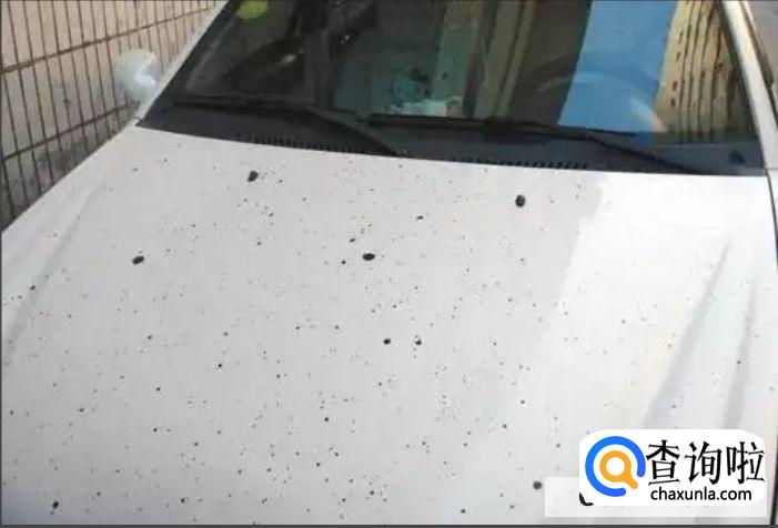白色车漆上的黄斑怎么去除
