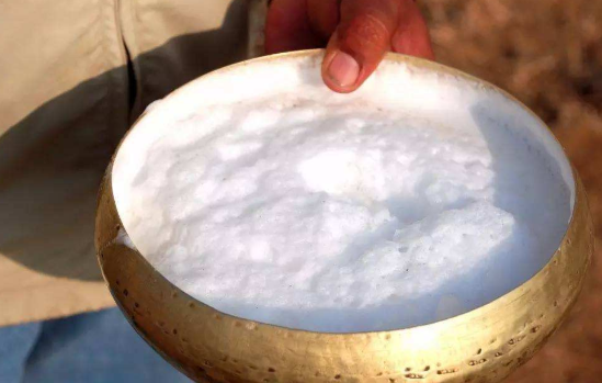 新疆特产有哪些