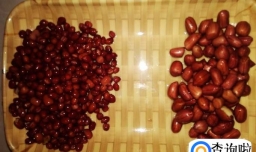 补血美容粥的做法