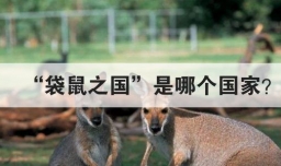 袋鼠之国是哪个国家