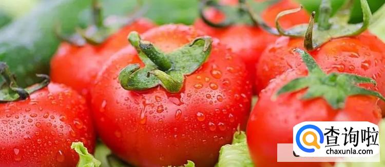 西红柿的营养价值br