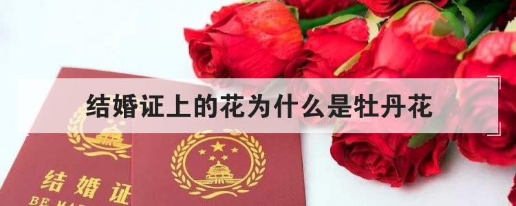 结婚证上的花为什么是牡丹花
