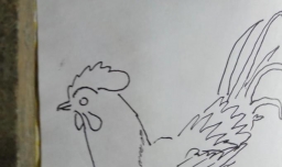 怎样画简笔画大公鸡？