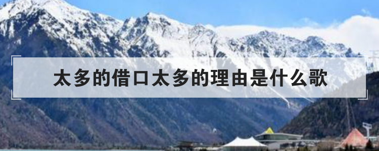太多的借口太多的理由是什么歌