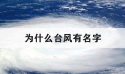 为什么台风有名字