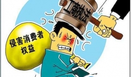 消费者怎样进行举报投诉，如何向消费者协会投诉