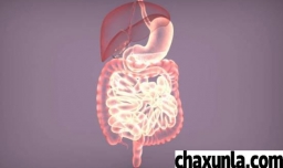 消化不良怎么解决