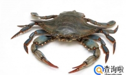 最新奇的理发方式盘点