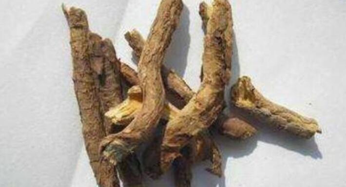 茯苓皮的功效与作用