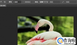 怎样在图片上加文字？