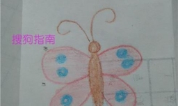 简笔画彩色的蝴蝶怎么画