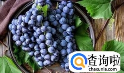 葡萄不能和什么一起吃？