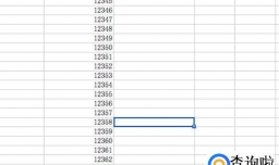 Excel如何在一列数字前后加相同数字或符号