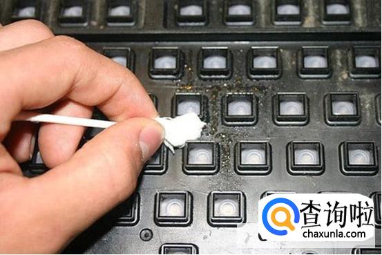 怎样巧妙清洁键盘