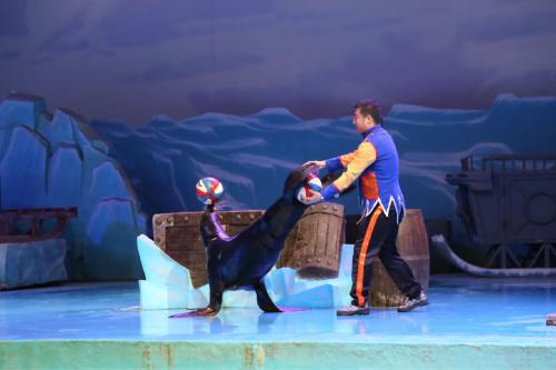 performance是什么意思